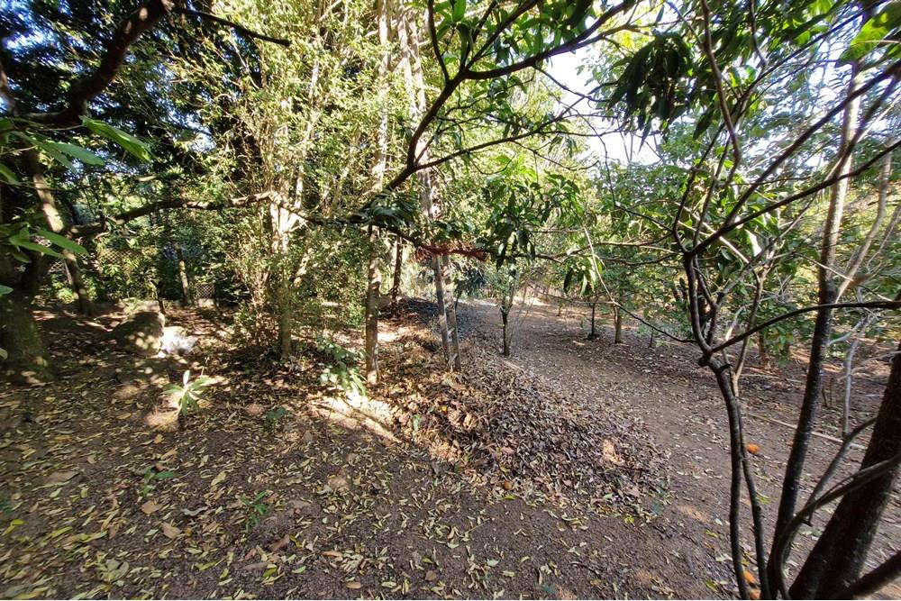 Rezidencijalno - Zemljište - Jaguariúna , Sao Paulo - BR - 20250814_151901.jpg - 690671008-326