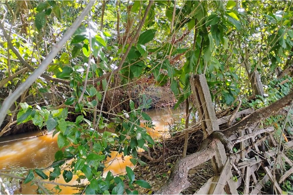 Terreno - Venda - Mogi Mirim , São Paulo - terr 21.jpeg - 690751036-49