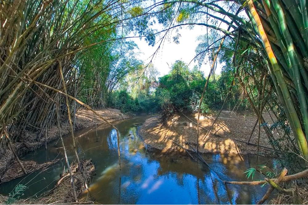 Chácara / Sítio / Fazenda - Venda - Santa Cruz da Conceição , São Paulo - Tratada-35.jpg - 690481001-177