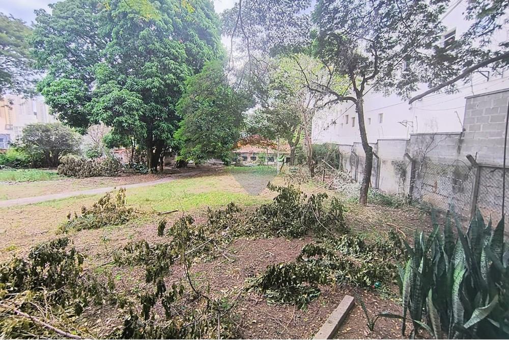 Terreno - Alugar - Campinas , São Paulo - WhatsApp Image 2025-06-30 at 16.57.03 (4).jpeg - 690681149-23