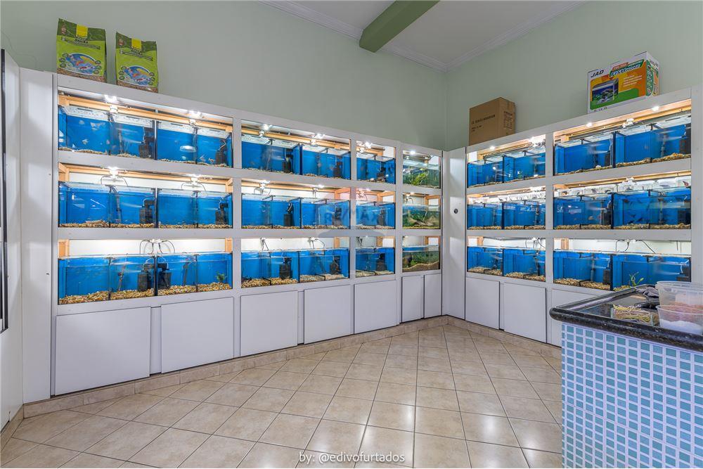 Ponto Comercial/ Loja - Venda - Vinhedo , São Paulo - 12 - 691091010-159