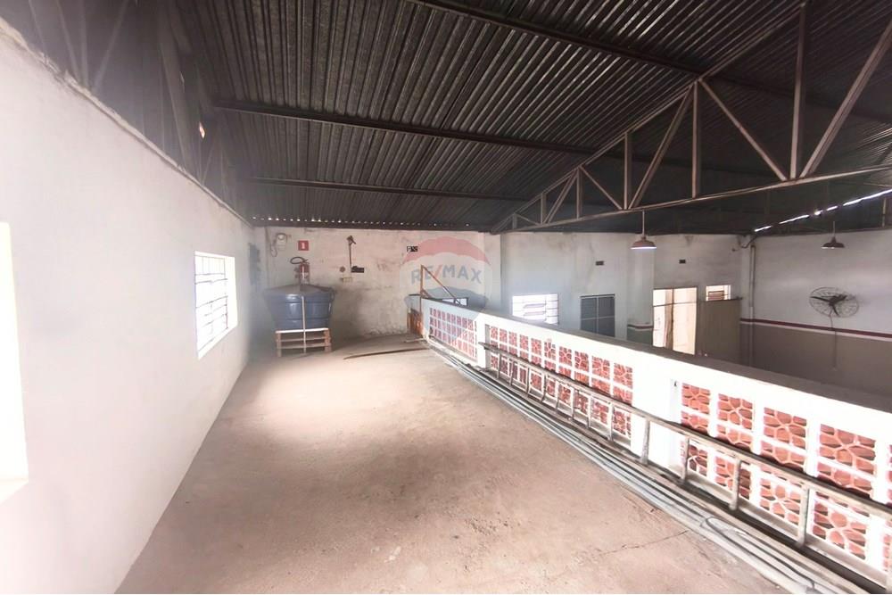 Galpão - Alugar - Mogi Mirim , São Paulo - MVIMG_20251009_133508~2.jpg - 690751092-20