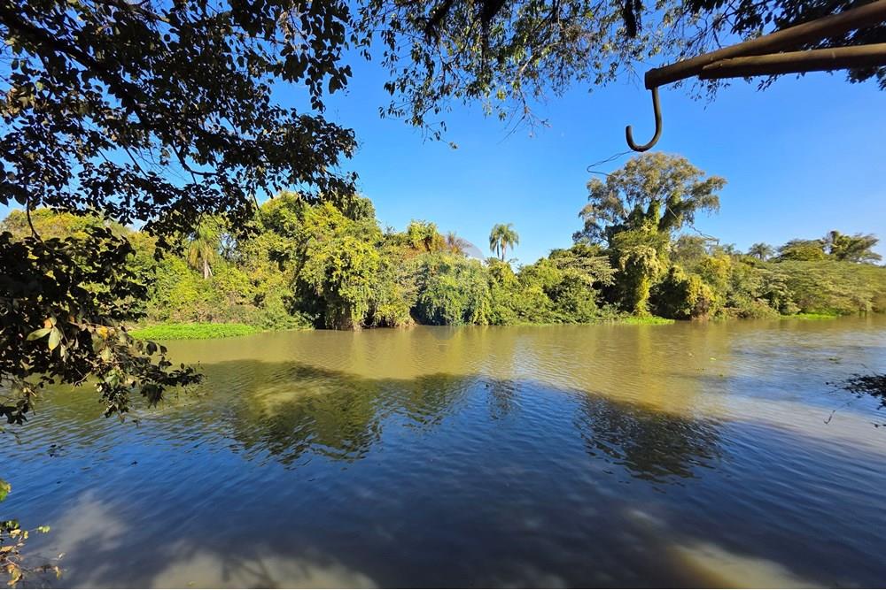 Terreno - Venda - Mogi Guaçu , São Paulo - 20250811_150210.jpg - 690521005-84