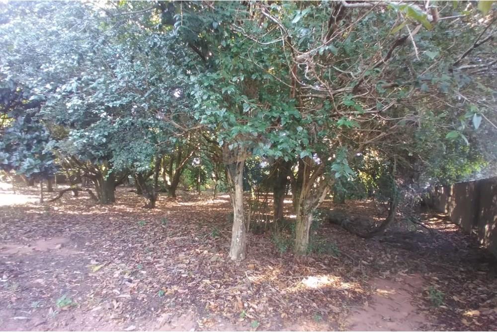 Chácara / Sítio / Fazenda - Venda - Mogi Mirim , São Paulo - Foto Sr Mario 7.jpeg - Pátio interno - 690751061-28