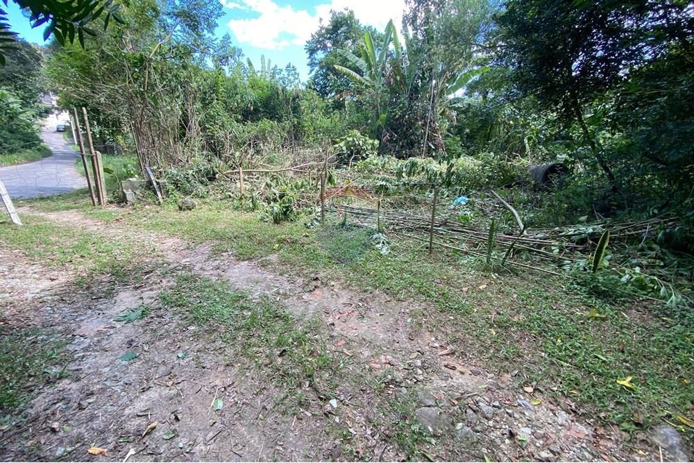 Terreno - Venda - Mairiporã , São Paulo - 00248034-3edb-47a3-8d70-6cac6e6f6755.jpeg - 690041107-11