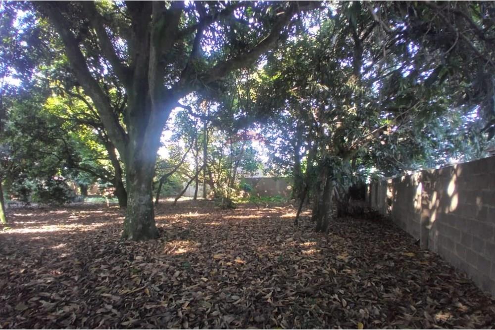 Chácara / Sítio / Fazenda - Venda - Mogi Mirim , São Paulo - Foto sr Mario 13.jpeg - Pátio interno - 690751061-28