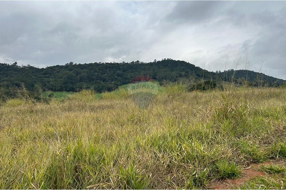 Terreno - Venda - Jarinu , São Paulo - WhatsApp Image 2025-07-04 at 18.07.14 (15).jpeg - 690661027-116