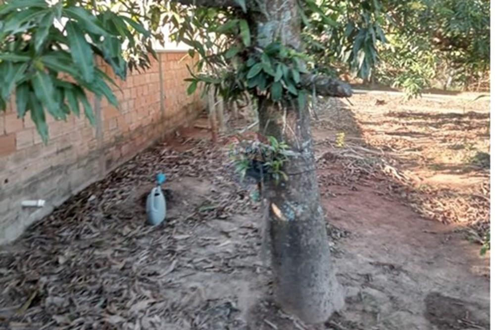 Chácara / Sítio / Fazenda - Venda - Cosmópolis , São Paulo - IMG-20250925-WA0129.jpg - Quintal - 690511143-104