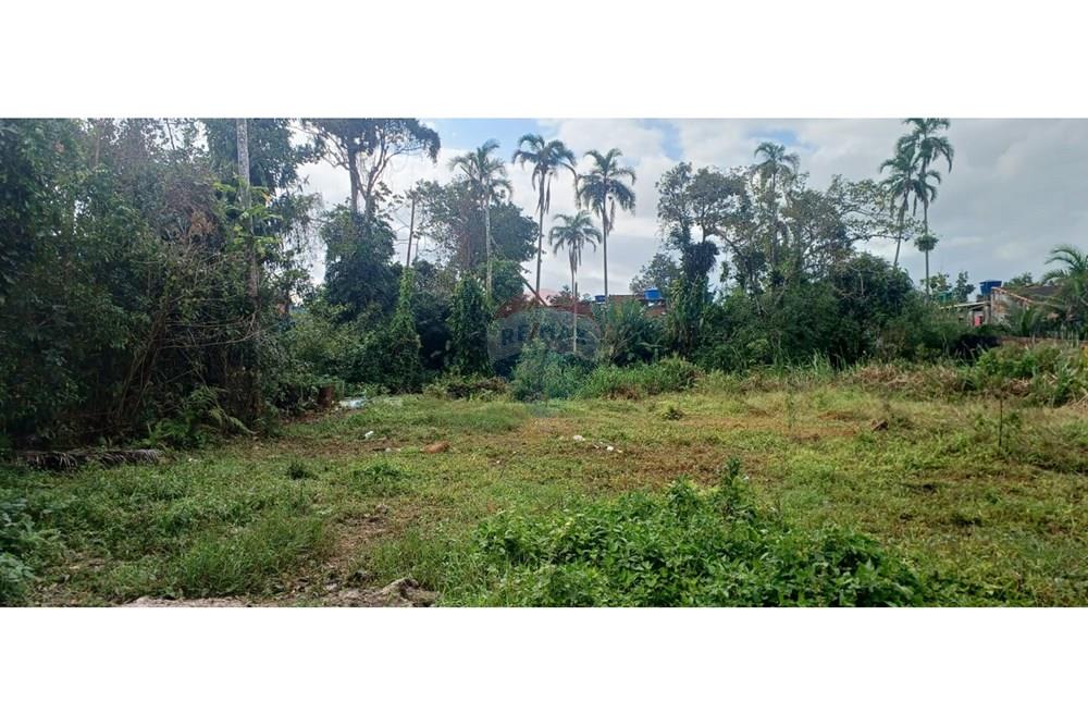 Terreno - Venda - Bertioga , São Paulo - terreno reginaldo5.jpg - 690341034-10