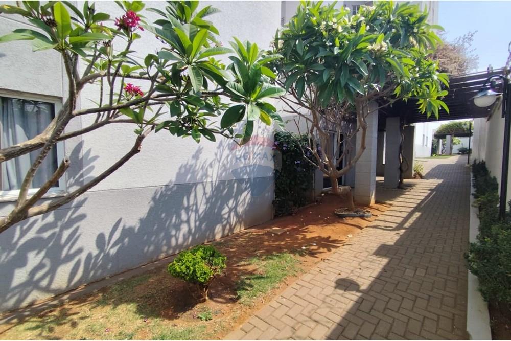 Apartamento - Alugar - Paulínia , São Paulo - c8e91d39-de72-46c4-b63d-59e1adb6d0ca.jpg - 690511042-359