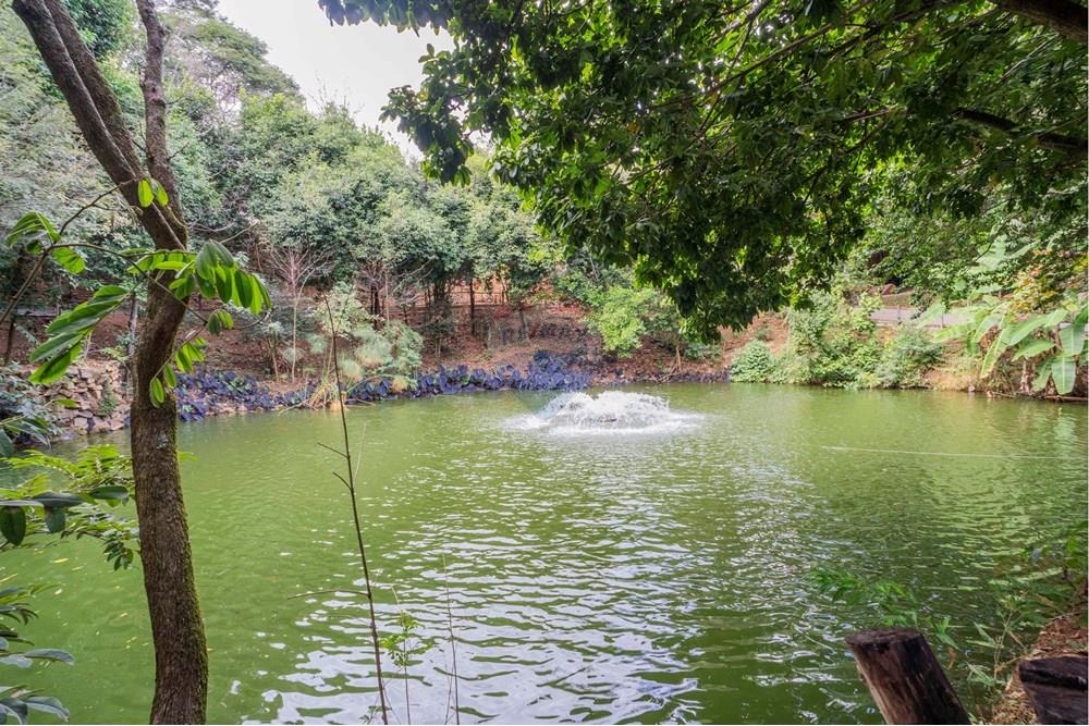 Casa de Condomínio - Venda - Valinhos , São Paulo - foto imobiliarias- brmaker-0-131.jpg - 690681015-129