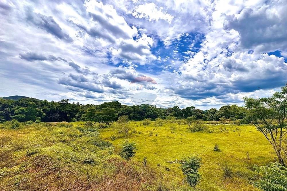 Terreno - Venda - Bragança Paulista , São Paulo - IMG_8975.JPEG - Fachada - 690041040-55