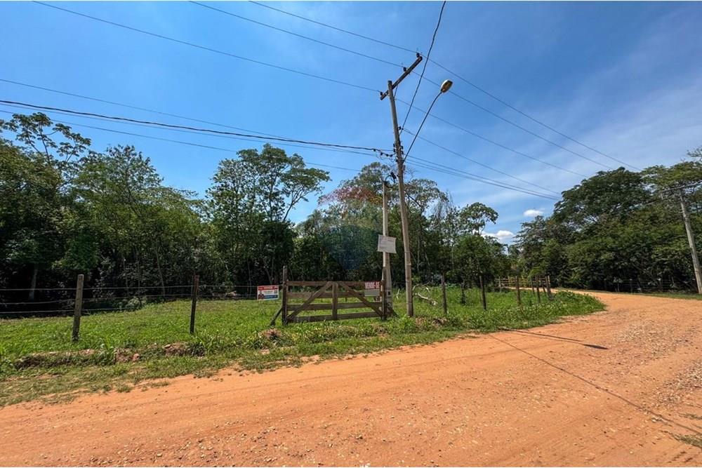 Terreno - Venda - Estiva Gerbi , São Paulo - WhatsApp Image 2025-10-18 at 11.33.41.jpeg - Quintal - 690521033-193