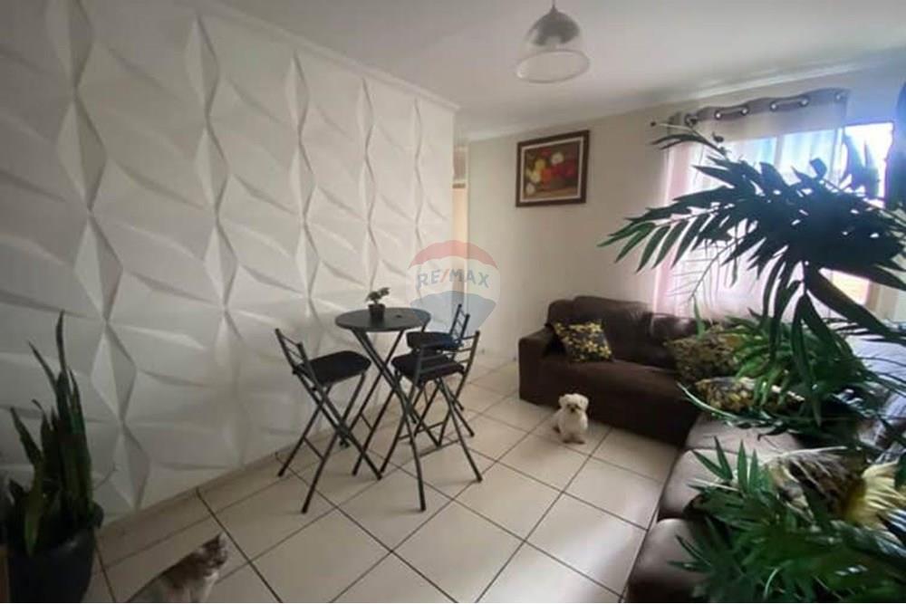 Apartamento - Venda - Itapira , São Paulo - WhatsApp Image 2025-09-16 at 12.14.34 (1).jpeg - 690291083-9