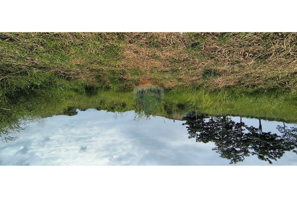 Terreno - Alugar - Piracicaba , São Paulo - IMG_20250415_140541492_HDR.jpg - 690781071-58