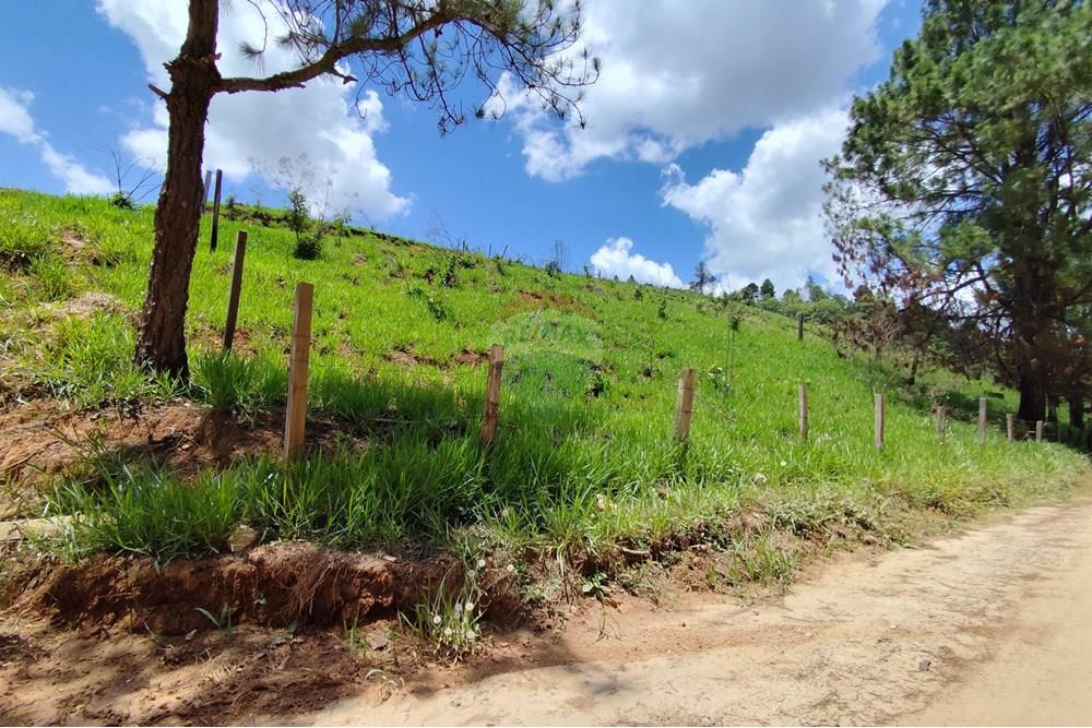 Terreno - Venda - Serra Negra , São Paulo - IMG_20241030_110722.jpg - 690291077-60