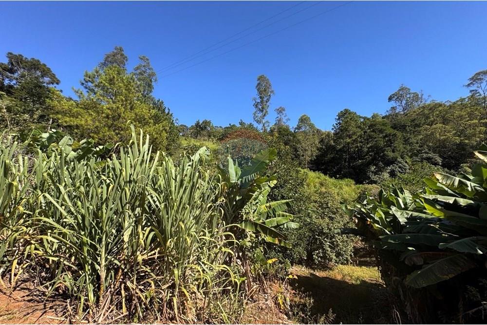 Chácara / Sítio / Fazenda - Venda - Joanópolis , São Paulo - photo_5019343269280201167_y.jpg - 690041001-120