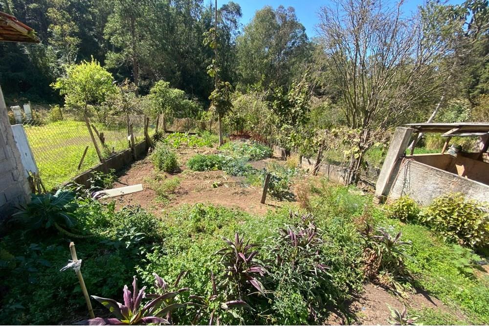 Chácara / Sítio / Fazenda - Venda - Joanópolis , São Paulo - 04517041-3f77-4587-9432-01c5aee3fb58.jpeg - 690041107-19