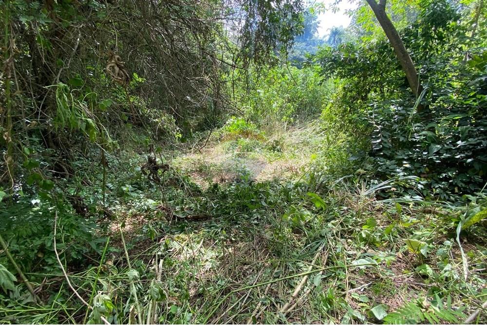 Terreno - Venda - Mairiporã , São Paulo - 69c3069a-b93c-4ec5-8467-8da4c8c27c82.jpeg - 690041107-11