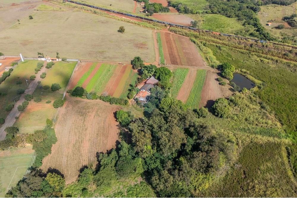 Agro - Venda - Paulínia , São Paulo - foto imobiliarias- brmaker- remax 0-2541).jpg - 690511223-17