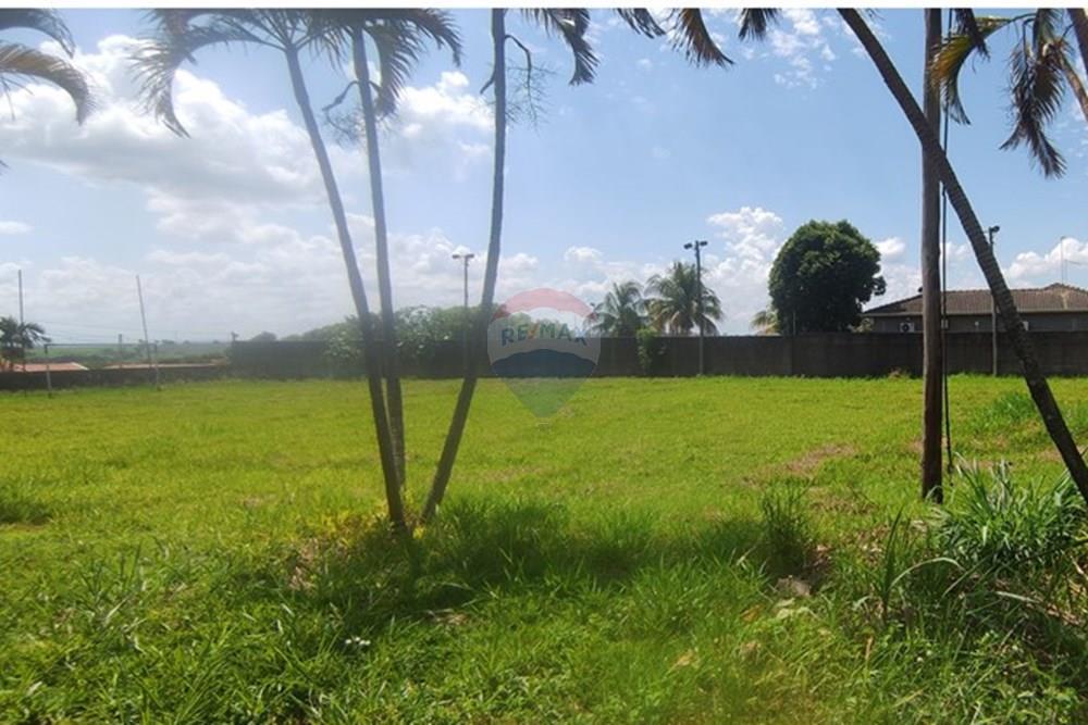 Terreno - Venda - Mogi Mirim , São Paulo - IMG_20250330_114138.jpg - Quintal - 690751048-120