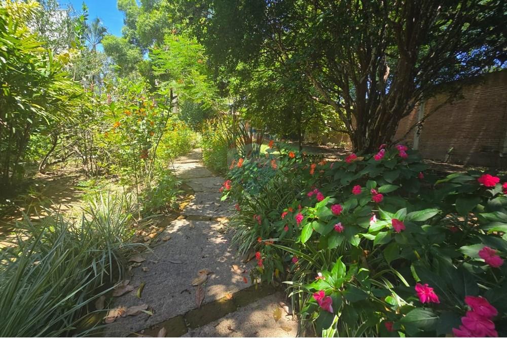 Chácara / Sítio / Fazenda - Venda - Americana , São Paulo - IMG-20250220-WA0067.jpg - 691071001-19