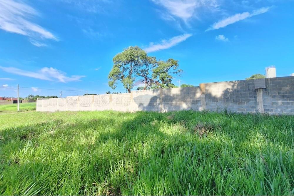 Terreno - Alugar - Mogi Mirim , São Paulo - IMG-20241209-WA0035.jpg - 690751048-95