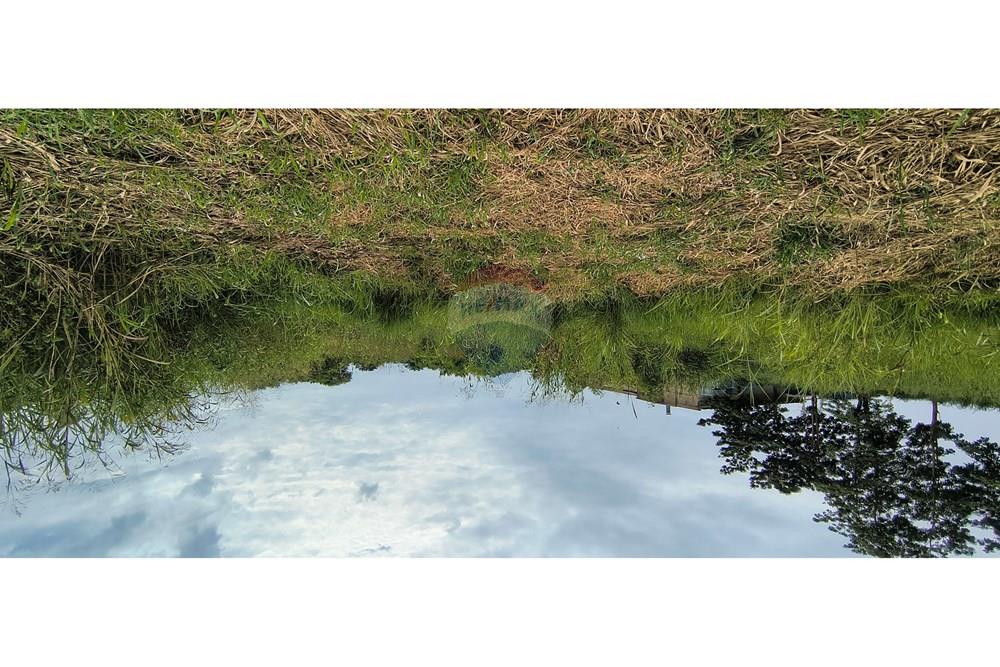 Terreno - Alugar - Piracicaba , São Paulo - IMG_20250415_140543388_HDR.jpg - 690781071-58