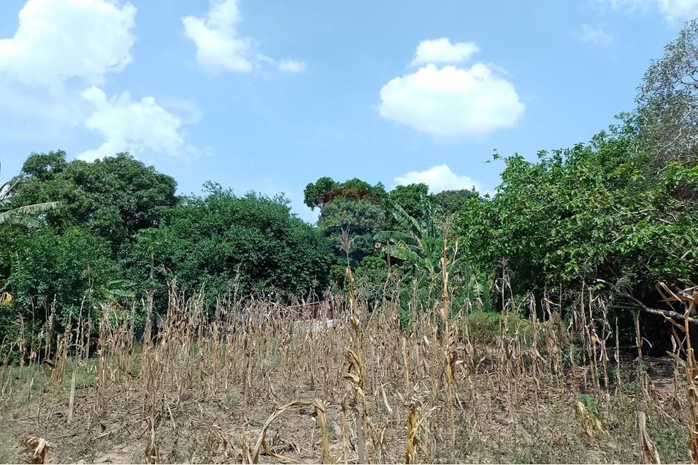 Terreno - Venda - Cosmópolis , São Paulo - fachada (7).jpg - Jardim Interno - 690831047-354