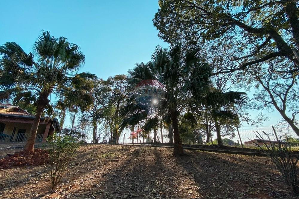 Chácara / Sítio / Fazenda - Venda - Itapira , São Paulo - Imagem do WhatsApp de 2025-02-04 à(s) 12.00.36_e5de8273.jpg - Quintal - 690291048-31