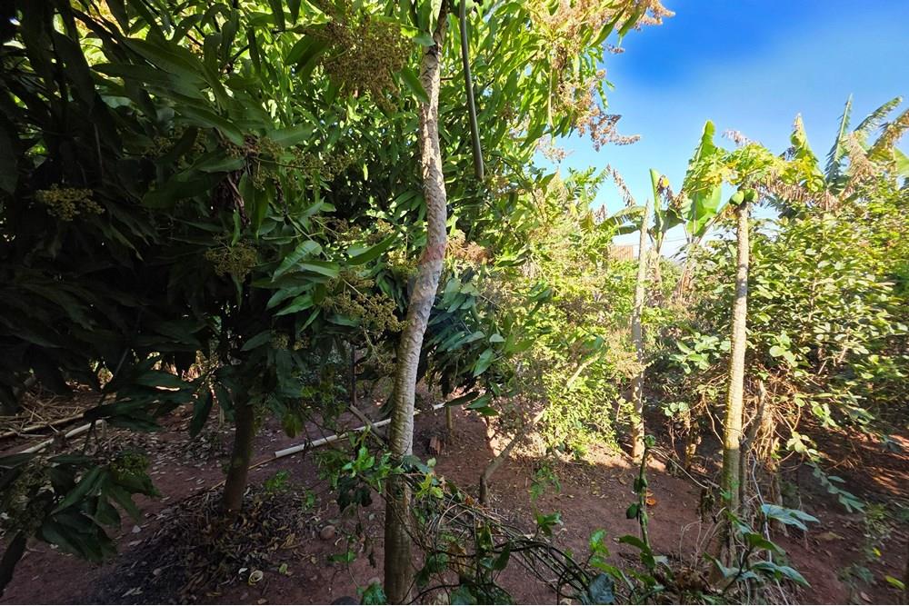 Chácara / Sítio / Fazenda - Venda - Estiva Gerbi , São Paulo - 20250818_090326.jpg - 690521115-74