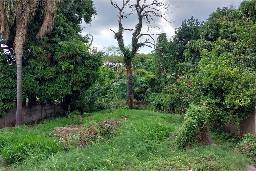 Casa - Venda - Mogi Guaçu , São Paulo - IMG-20241116-WA0053.jpg - 690521112-19