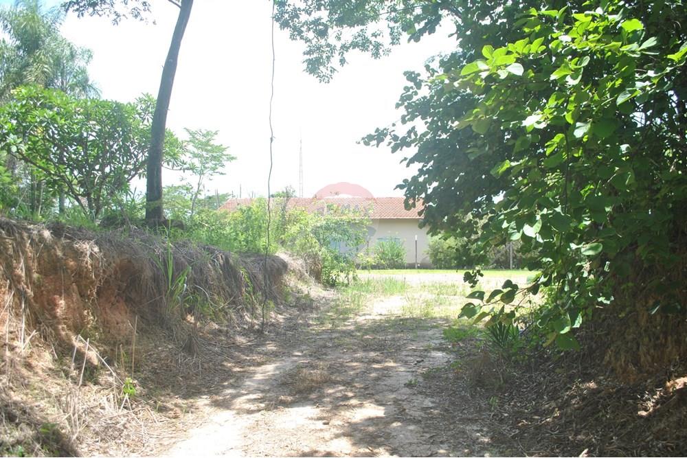 Chácara / Sítio / Fazenda - Alugar - Jaguariúna , São Paulo - DSC_0061.JPG - 690671057-4