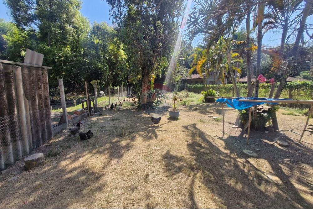 Chácara / Sítio / Fazenda - Venda - Jaguariúna , São Paulo - 20250912_095315.jpg - 690671050-41