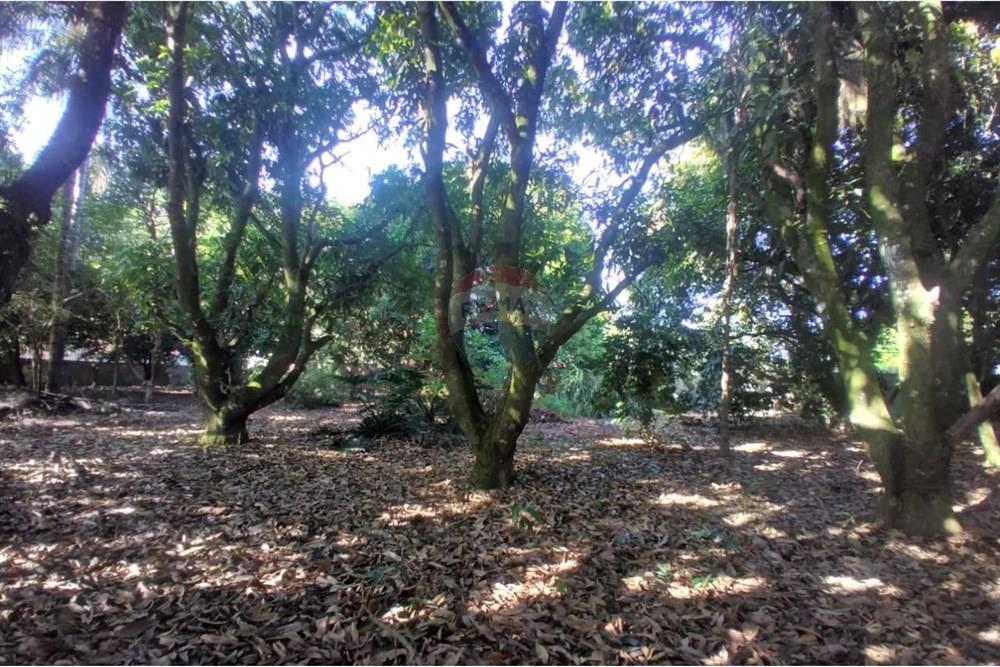 Chácara / Sítio / Fazenda - Venda - Mogi Mirim , São Paulo - Foto sr Mario 11.jpeg - Pátio interno - 690751061-27