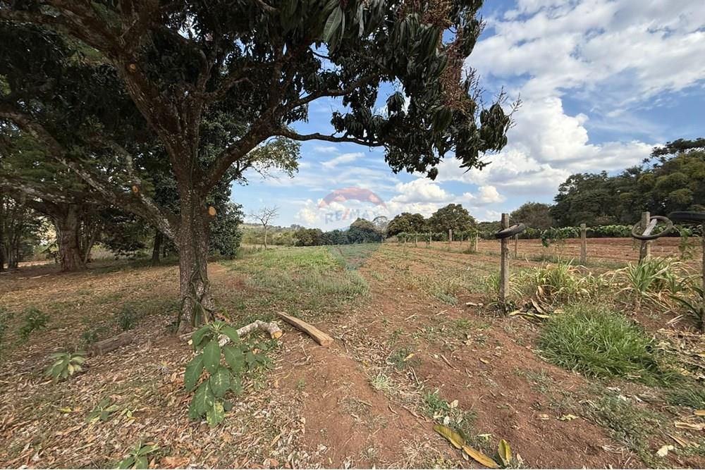 Terreno - Venda - Bragança Paulista , São Paulo - WhatsApp Image 2025-08-25 at 15.25.13 (1).jpeg - 690041010-105