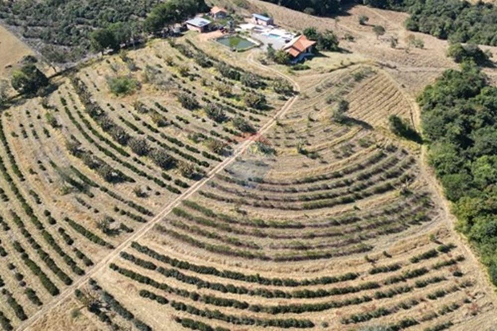 Chácara / Sítio / Fazenda - Venda - Monte Sião , Minas Gerais - WhatsApp Image 2025-07-18 at 18.05.02 (1).jpeg - Quintal - 690291077-219