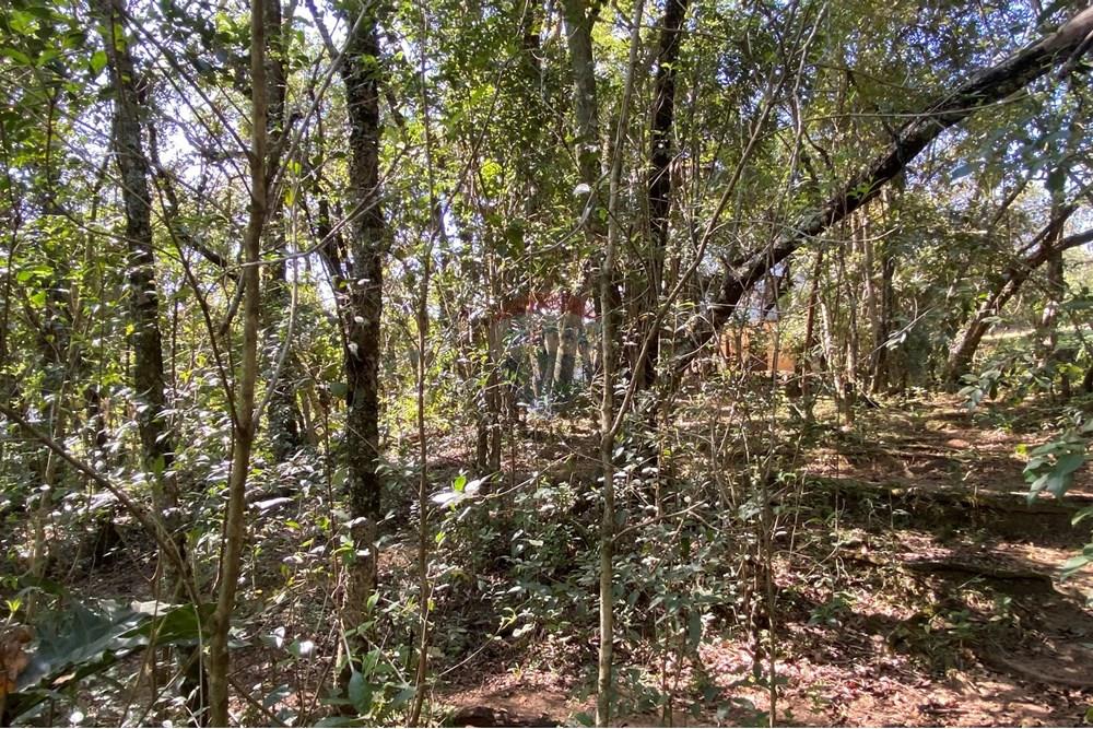 Chácara / Sítio / Fazenda - Venda - Jarinu , São Paulo - z14.JPEG - 691121002-11