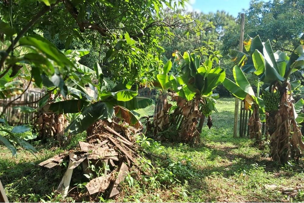 Terreno - Venda - Mogi Mirim , São Paulo - terr 12.jpeg - 690751036-49