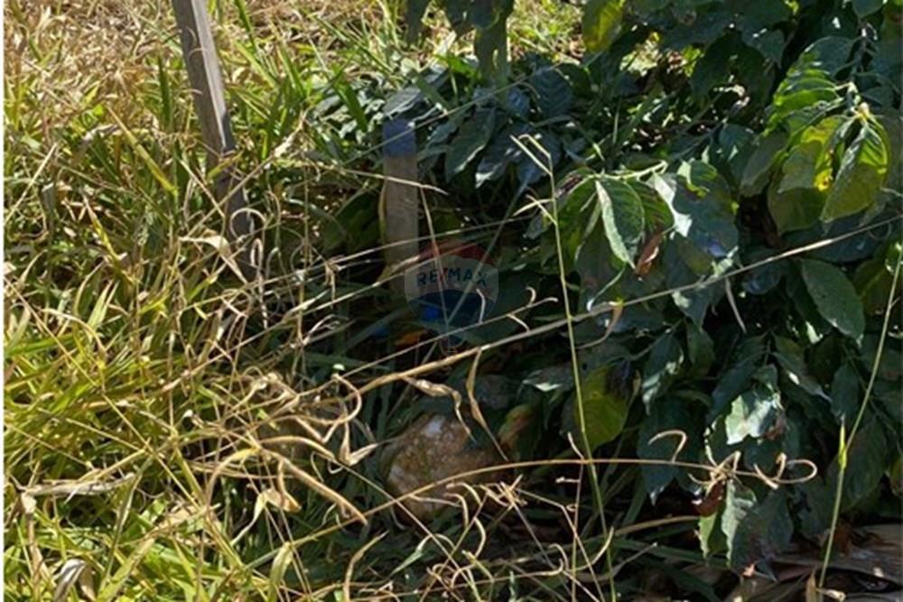 Chácara / Sítio / Fazenda - Venda - Monte Sião , Minas Gerais - WhatsApp Image 2025-07-18 at 18.06.45 (1).jpeg - Jardim Externo - 690291077-219