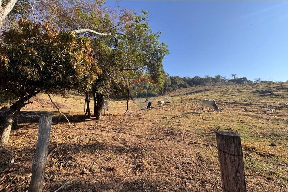 Terreno - Venda - Tuiuti , São Paulo - WhatsApp Image 2025-10-06 at 14.47.26 (2).jpeg - 690041052-114