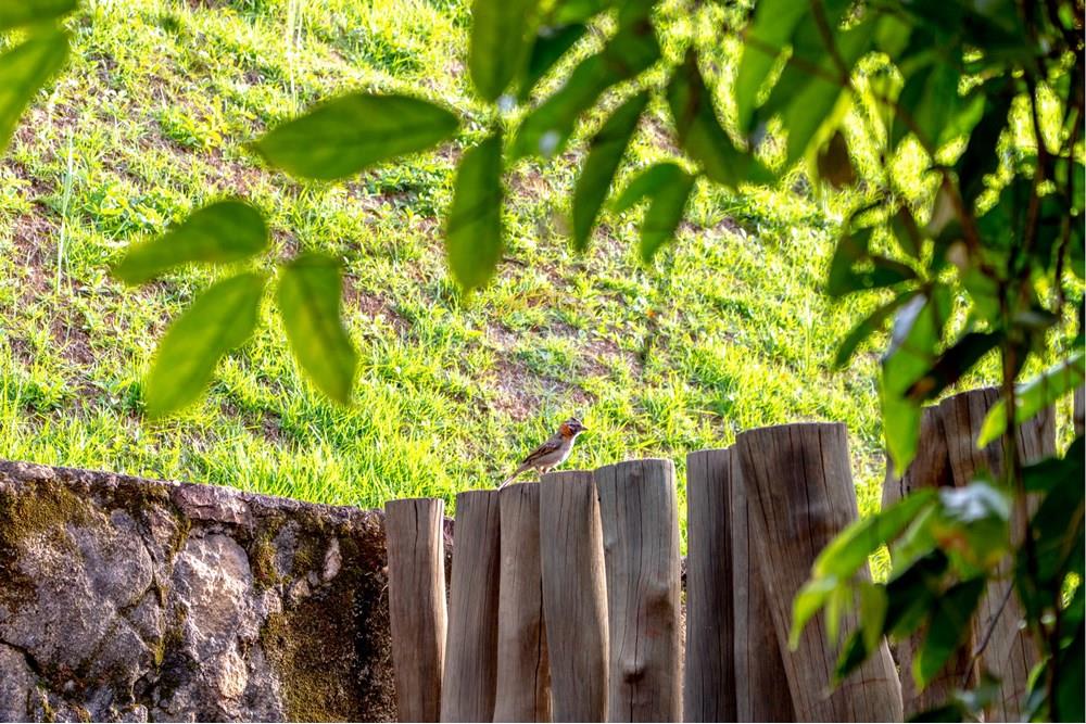 Hotel/ Pousada - Venda - Atibaia , São Paulo - Rinf-76.jpg - 690921066-32