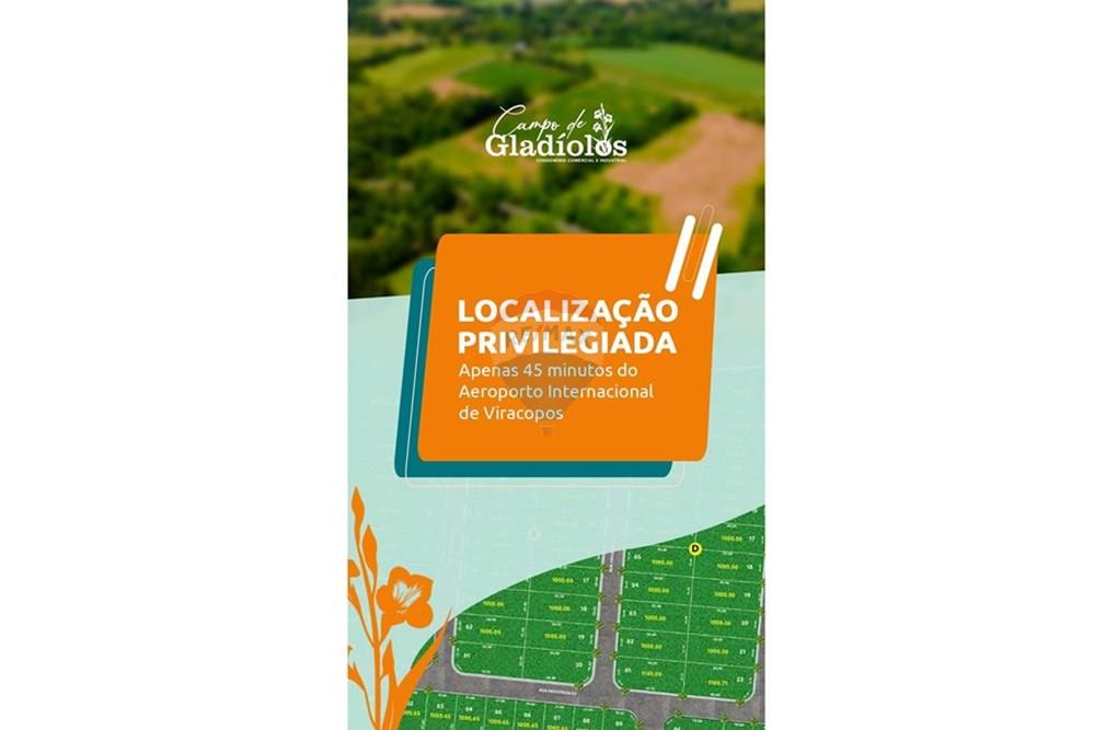 Terreno - Venda - Holambra , São Paulo - Campos_de_gladíolos_redes_sociais_story4.jpeg - 690511223-30