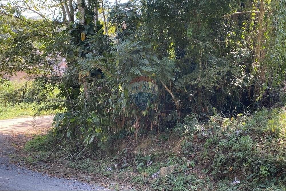 Terreno - Venda - Registro , São Paulo - Imagem do WhatsApp de 2025-09-03 à(s) 13.05.35_ef0d4818.jpg - 690061045-8