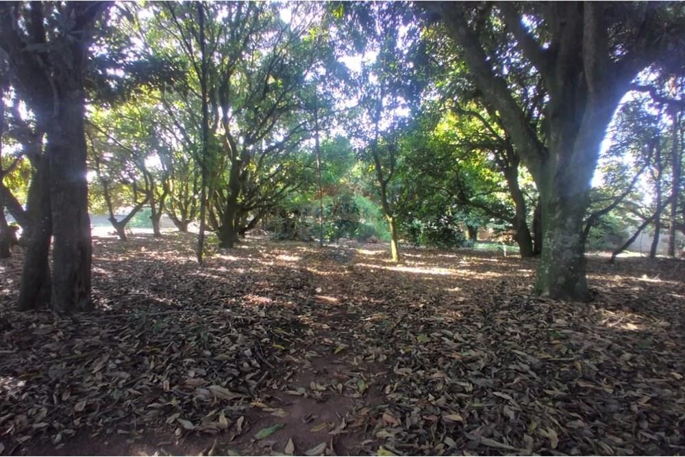 Chácara / Sítio / Fazenda - Venda - Mogi Mirim , São Paulo - Foto sr Mario 15.jpeg - 690751061-28