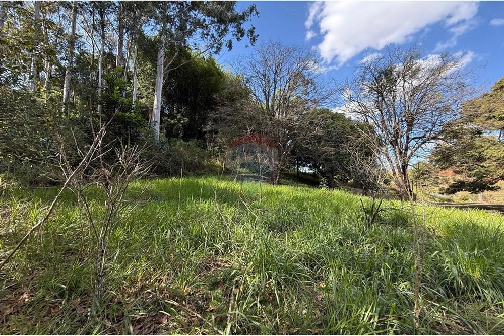 Chácara / Sítio / Fazenda - Venda - Ouro Fino , Minas Gerais - c8ad292b-261f-420e-9ab4-25dbe3a292f9.jpg - Quintal - 690521014-121