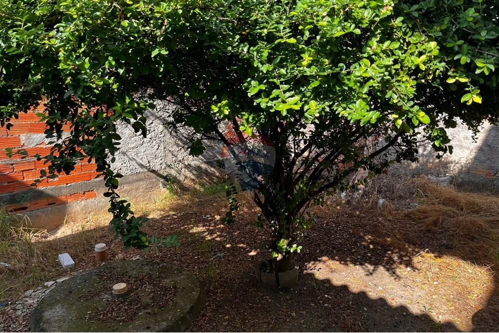 Ponto Comercial/ Loja - Venda - Monte Mor , São Paulo - 6f2f87d0-c1d4-4511-ac31-8a098d3f2c24.jpeg - 690701021-12