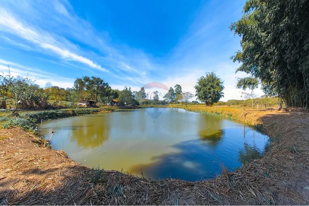 Chácara / Sítio / Fazenda - Venda - Santa Cruz da Conceição , São Paulo - Tratada-19.jpg - 690481001-177