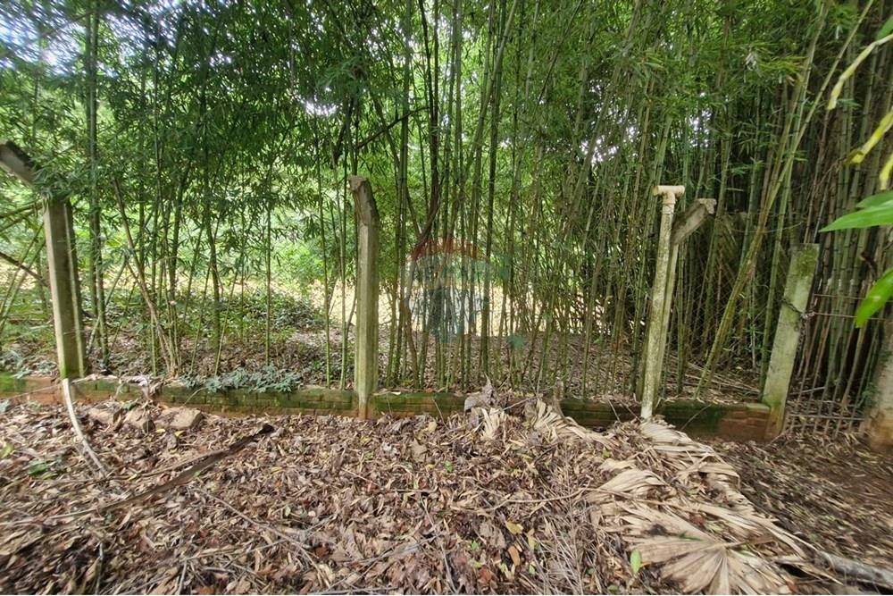 Chácara / Sítio / Fazenda - Venda - Jaguariúna , São Paulo - IMG-20250210-WA0094.jpg - Jardim Externo - 690671050-27