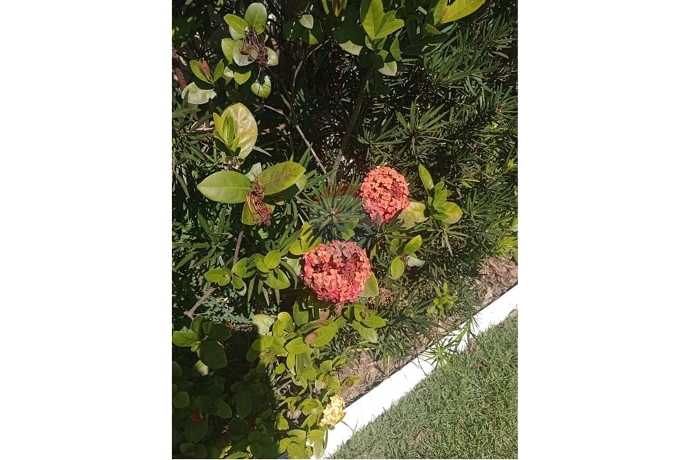 Casa - Venda - São Pedro , São Paulo - som21.jpg - 690571074-56